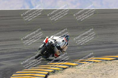 media/Jan-20-2023-Apex Assassins (Fri) [[05880b9d29]]/Trackday 1/Session 2 (Bowl Backside)/